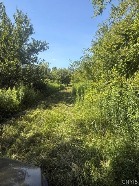Townline Road Rome, NY 13440 - Photo 12 of 14