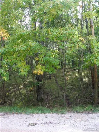 $3,900 | 9795 Pere Marquette Drive, Unit 253, Canadian Lakes, MI 49346