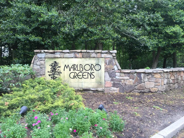 a view of outdoor space with signage and flags