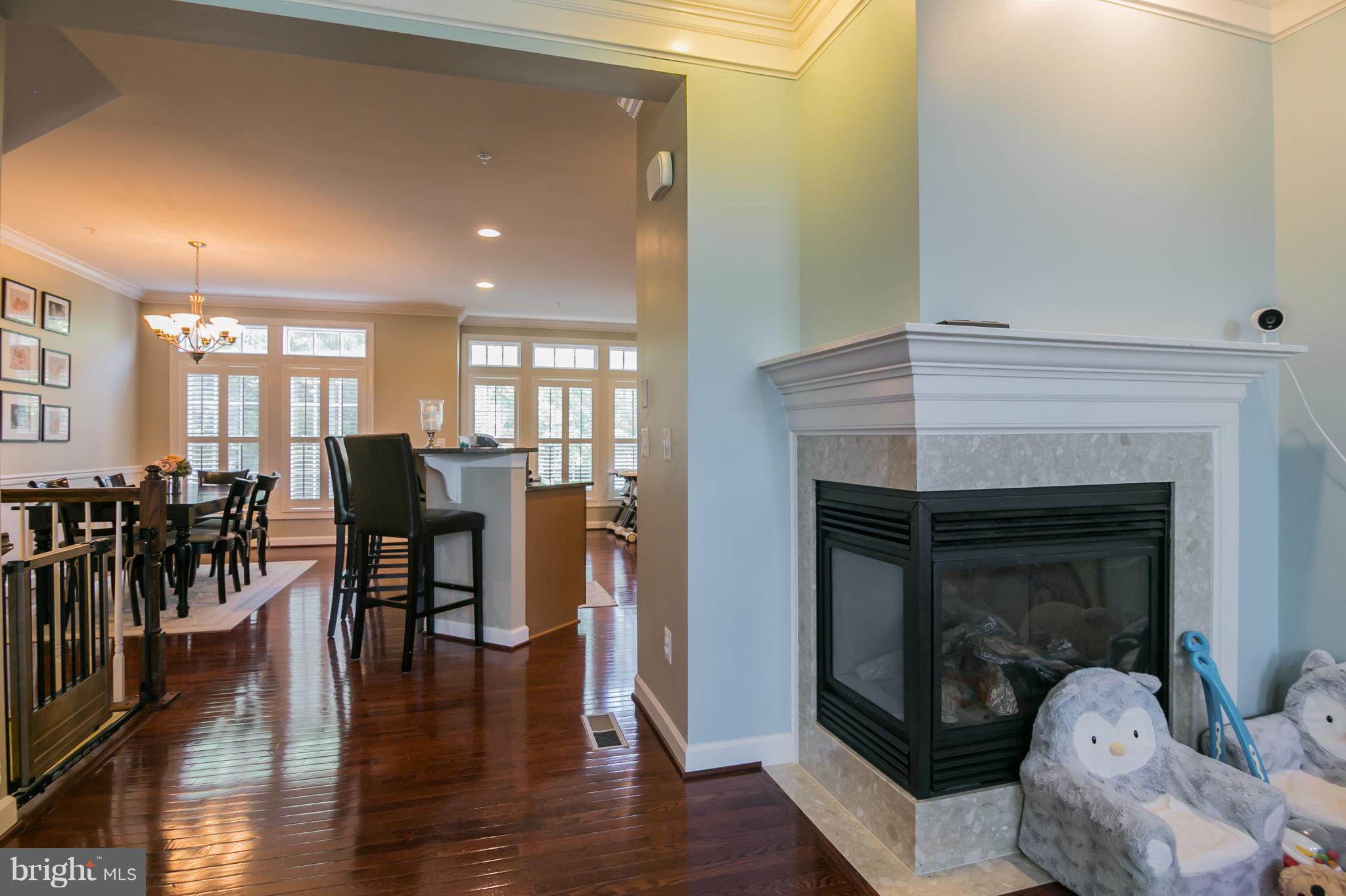 846 West Glebe Road Alexandria, VA 22305 - Photo 11 of 30 Living Room gas fireplace