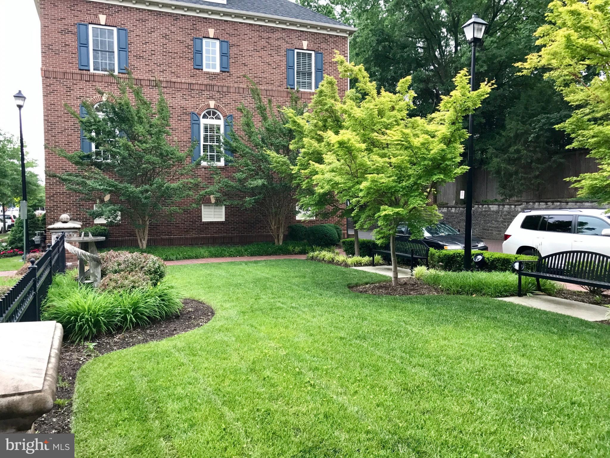 846 West Glebe Road Alexandria, VA 22305 - Photo 30 of 30 Some green space between rows of townhomes