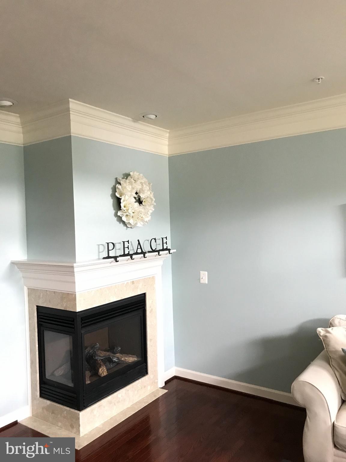 846 West Glebe Road Alexandria, VA 22305 - Photo 10 of 30 Gas fireplace