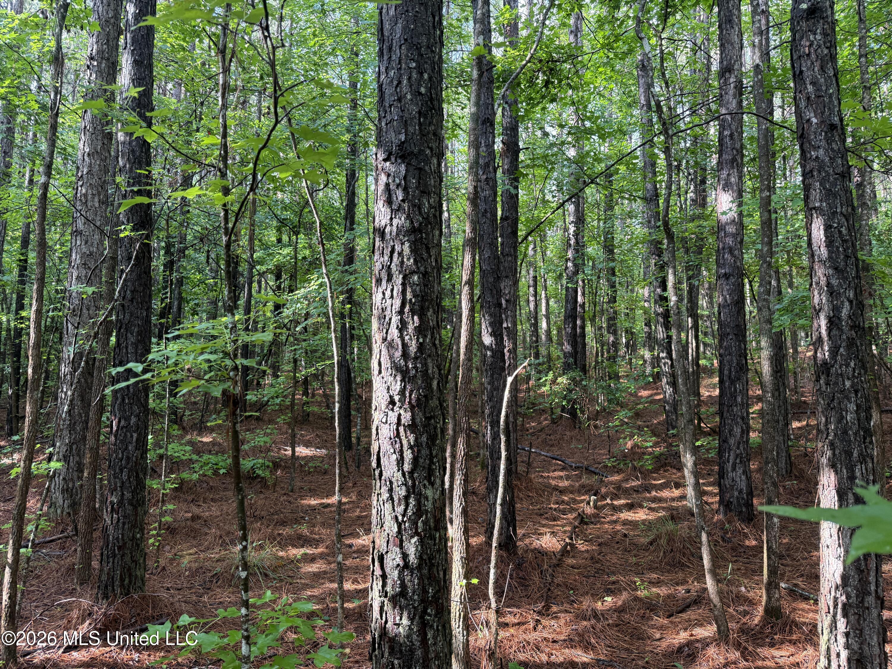 2136 Co Road McCool, MS 39108 - Photo 8 of 29 7