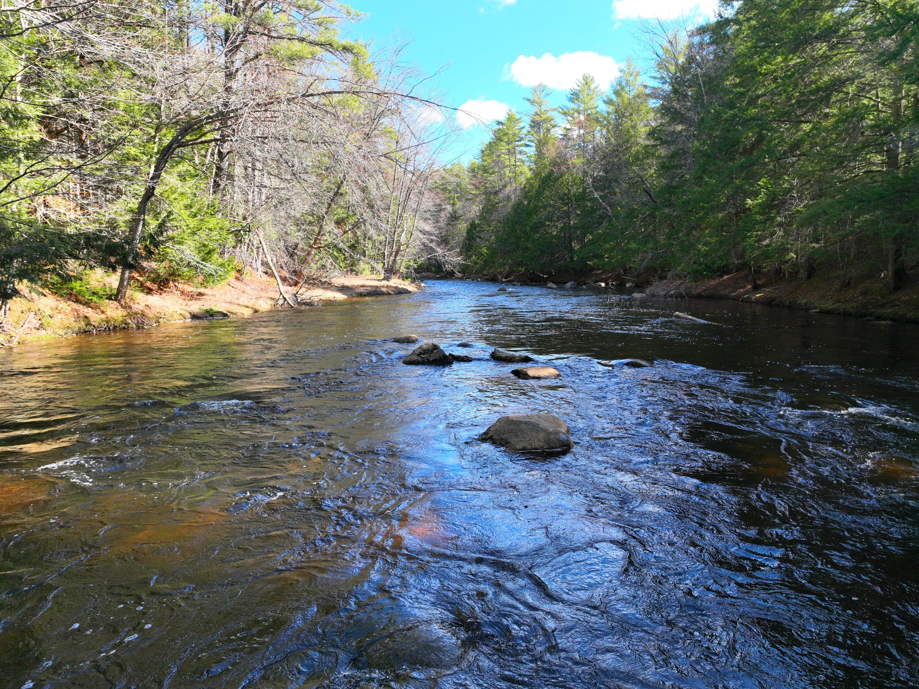 16-10 Scribners Mills Road Harrison, ME 04040 - Photo 3 of 4