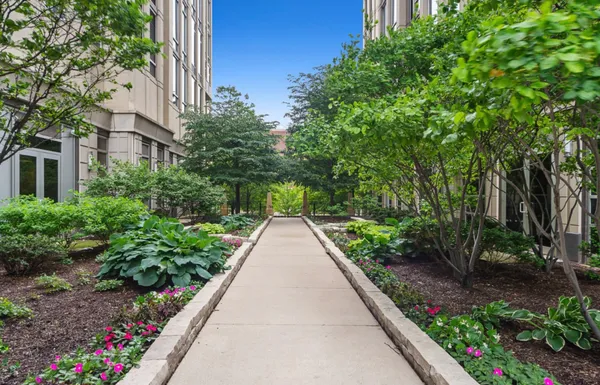 a view of a garden with pathway
