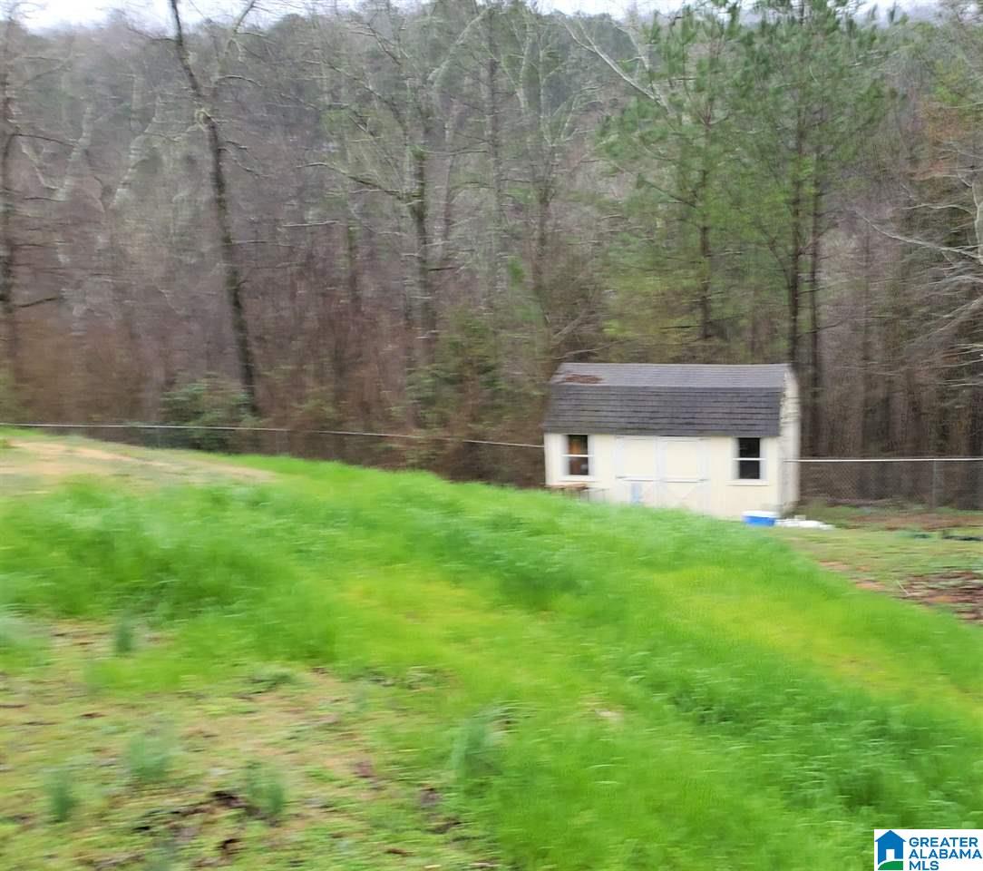 1300 Mill Creek Road Warrior, AL 35180 - Photo 33 of 39