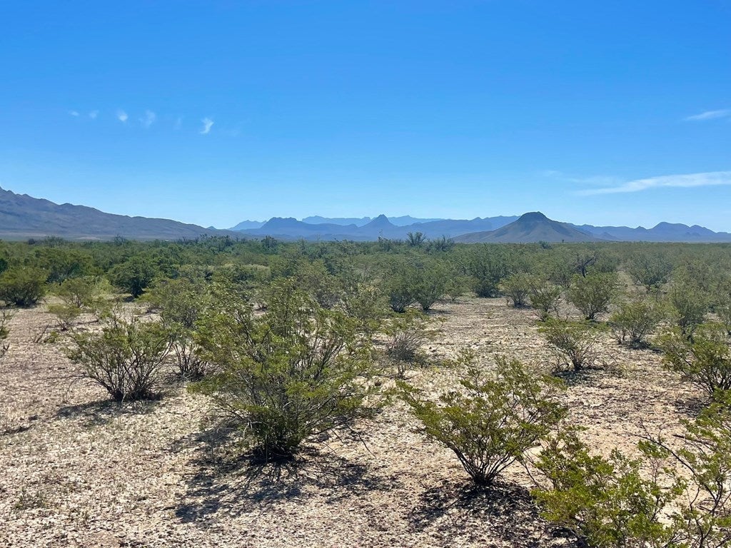 4464 Private Road Terlingua, TX 79852 - Photo 10 of 11 Gallery Image 10