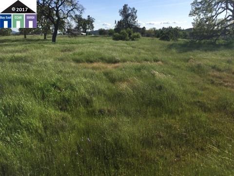 Hillwood Road Valley Springs, CA 95252 - Photo 2 of 7 Gallery Image 2