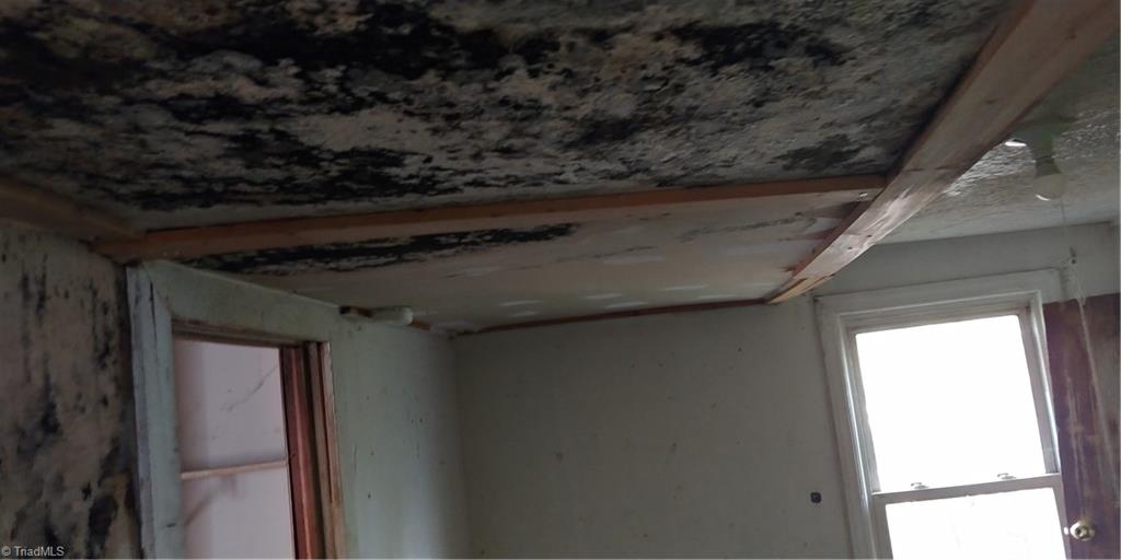 1007 Haled Street Eden, NC 27288 - Photo 5 of 12