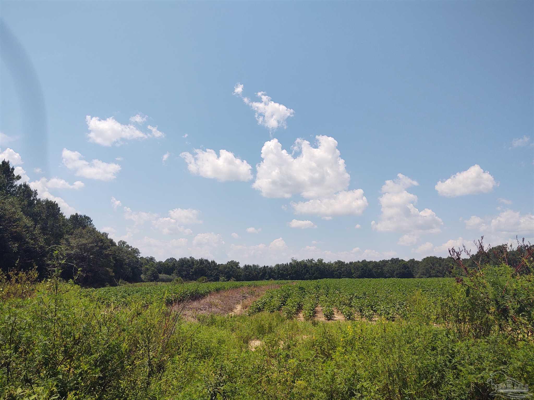 7264 Springhill Road Milton, FL 32570 - Photo 2 of 8 a sunset view with lake view and mountain view