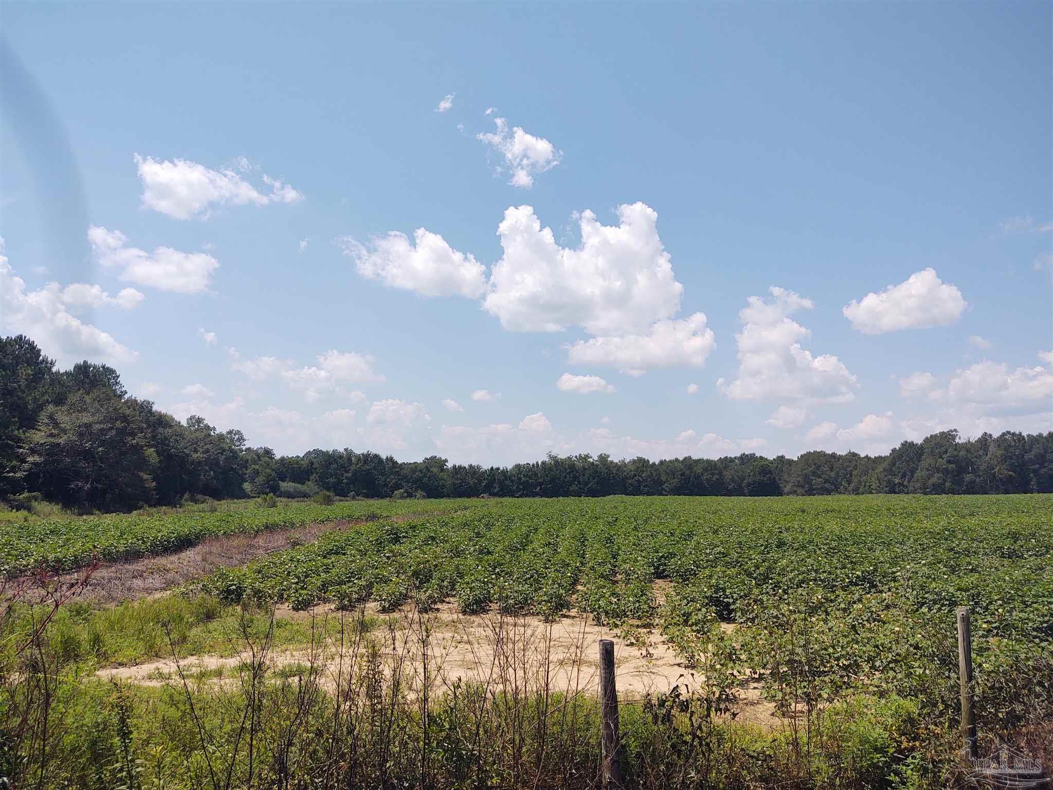 7264 Springhill Road Milton, FL 32570 - Photo 3 of 8 a view of lake with mountain
