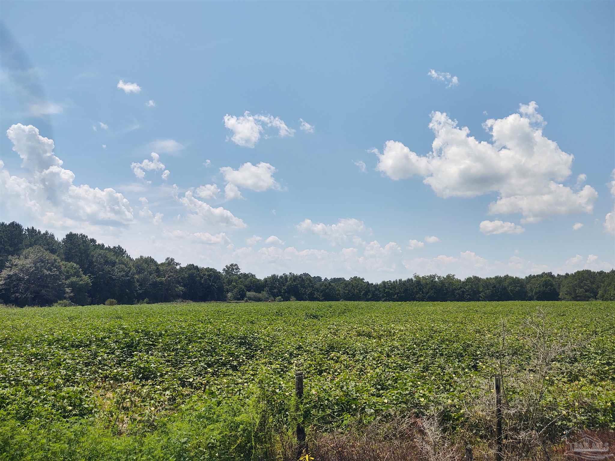 7264 Springhill Road Milton, FL 32570 - Photo 4 of 8 a view of lake and mountain
