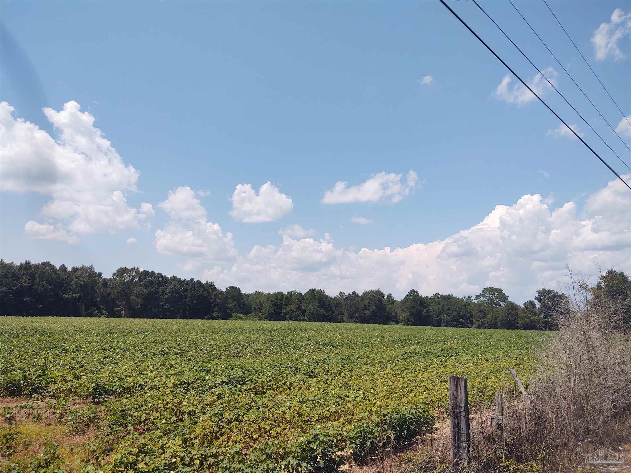 7264 Springhill Road Milton, FL 32570 - Photo 5 of 8 a view of an lake and a yard