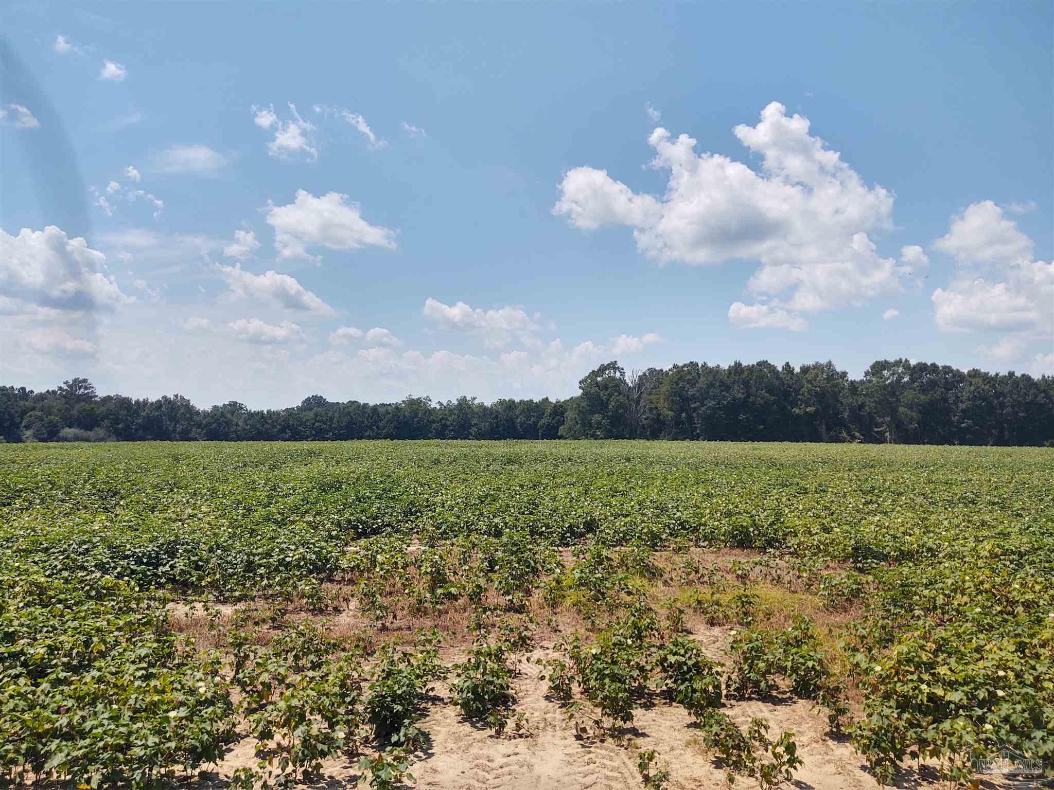 7264 Springhill Road Milton, FL 32570 - Photo 6 of 8 a view of a lake and mountain in the back