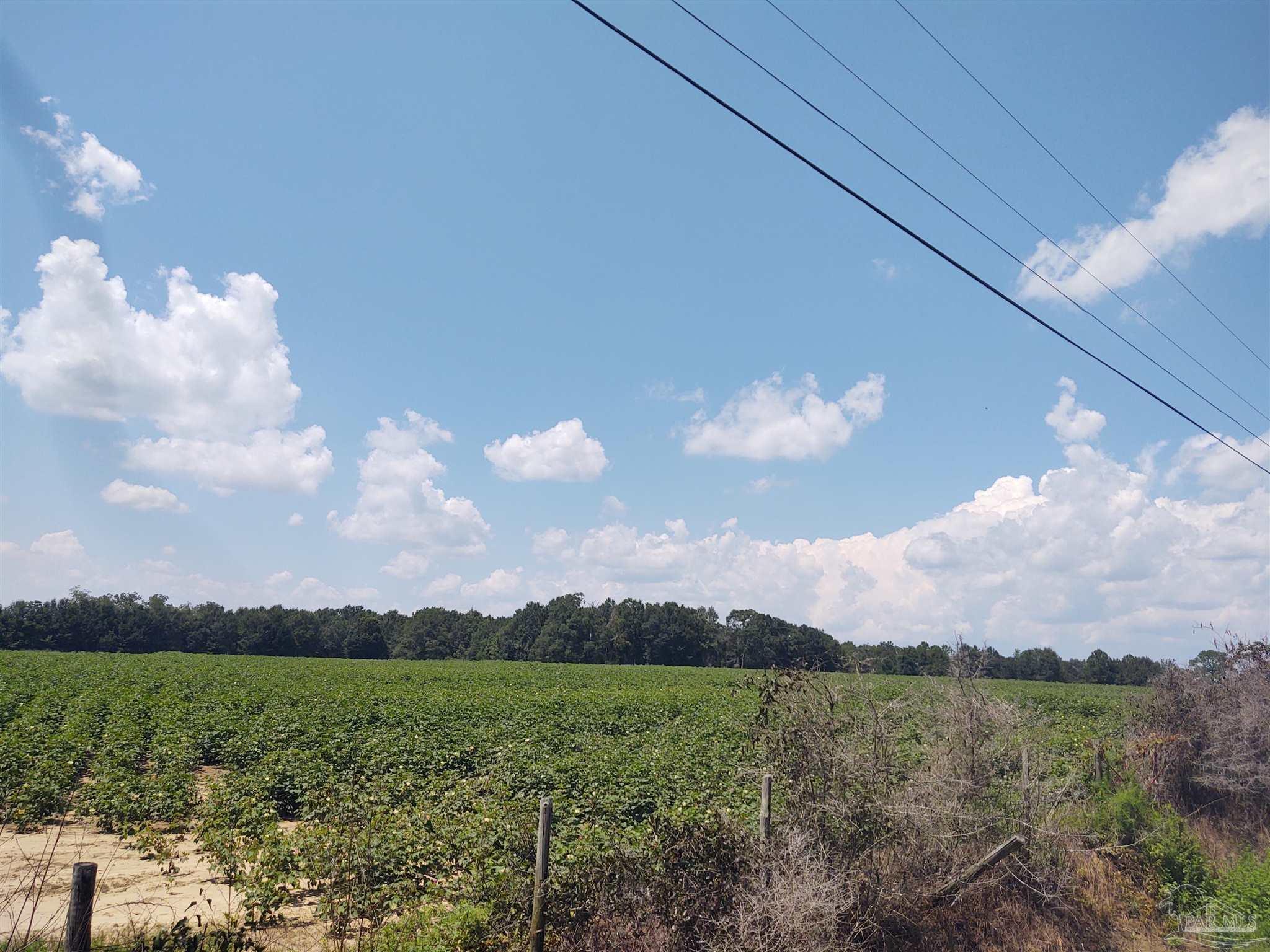 7264 Springhill Road Milton, FL 32570 - Photo 7 of 8 a view of a lake and mountain view