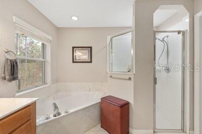 12351 Southwest 73rd Street Ocala, FL 34481 - Photo 24 of 77 a bathroom with a bathtub and a sink