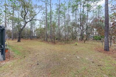 12351 Southwest 73rd Street Ocala, FL 34481 - Photo 49 of 77 a view of a forest with trees in the background
