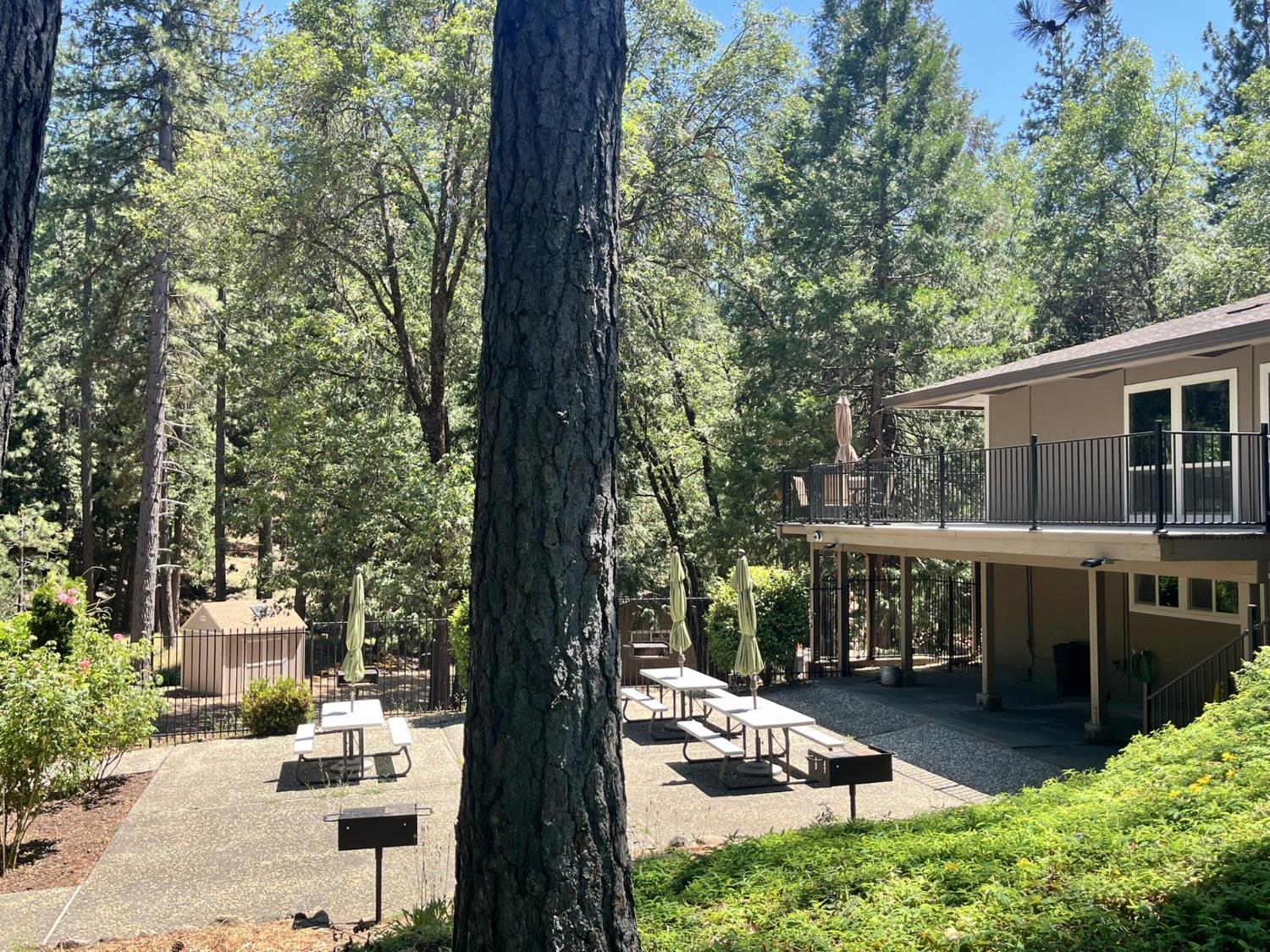 5635 Azalea Circle Pollock Pines, CA 95726 - Photo 22 of 24