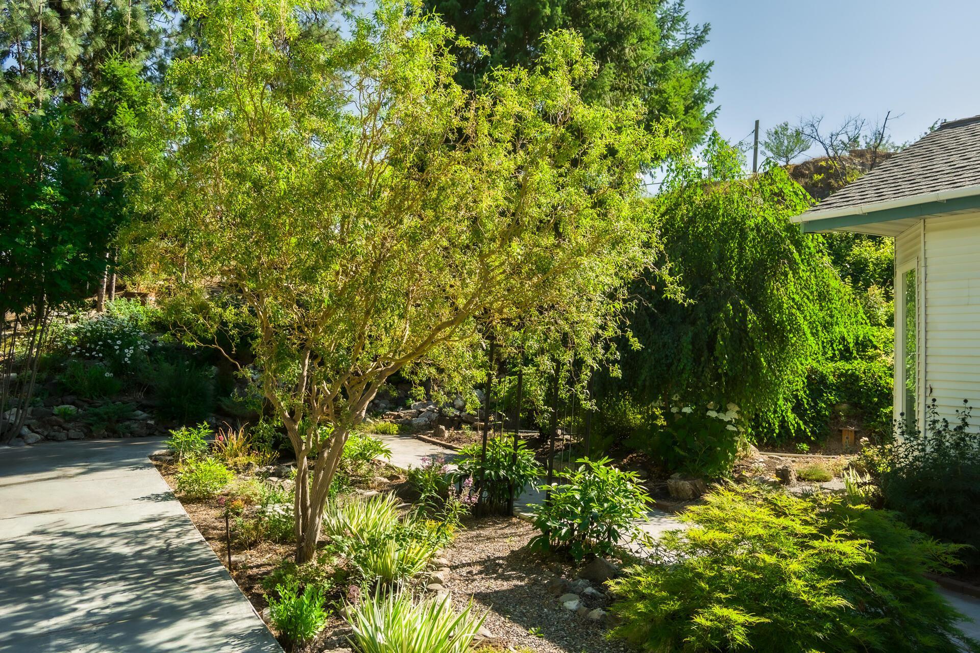 160 East 7th Avenue Colville, WA 99114 - Photo 33 of 38