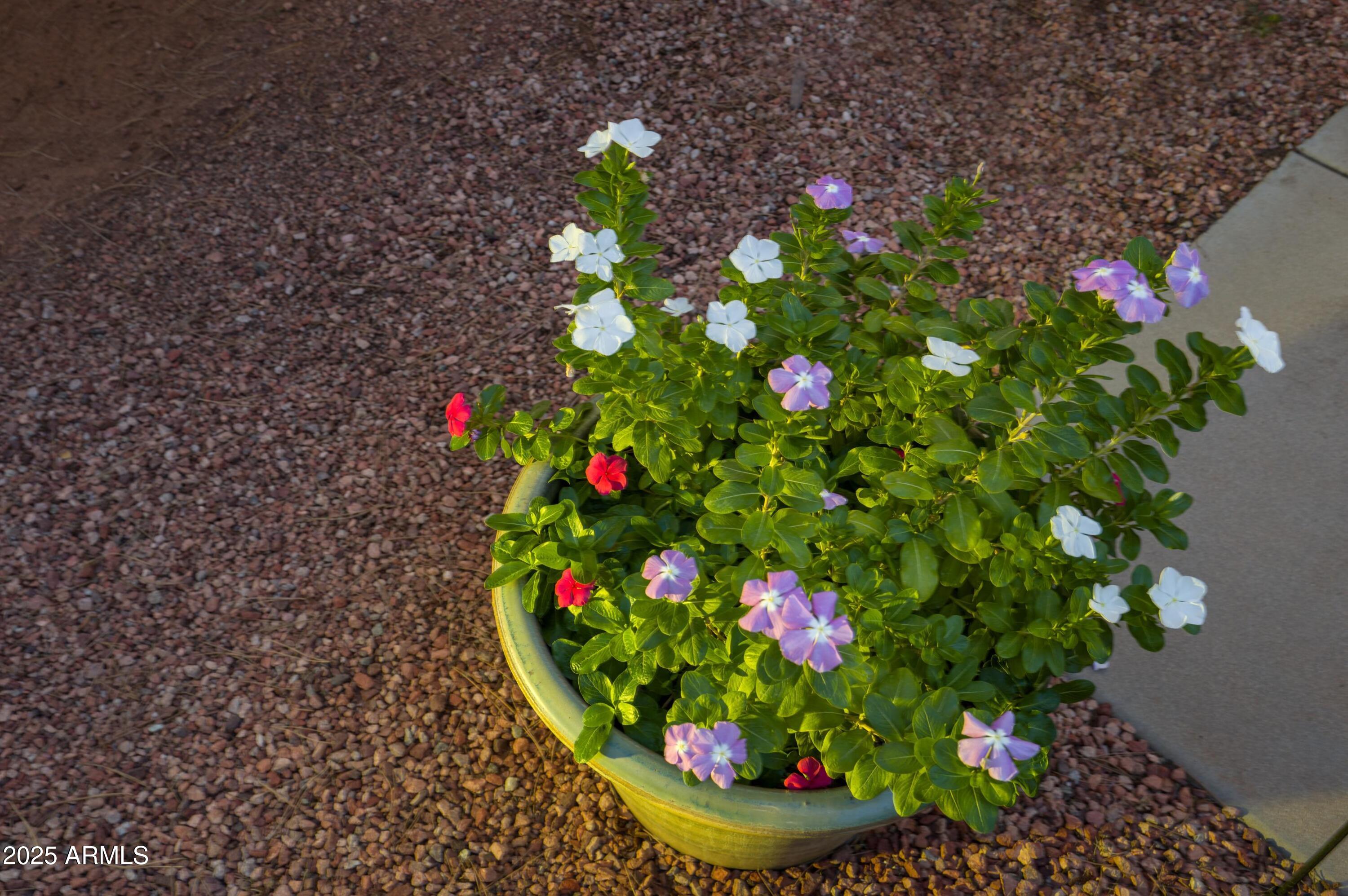 722 Crown Ridge Road Sedona, AZ 86351 - Photo 33 of 35 a view of a flower in a garden