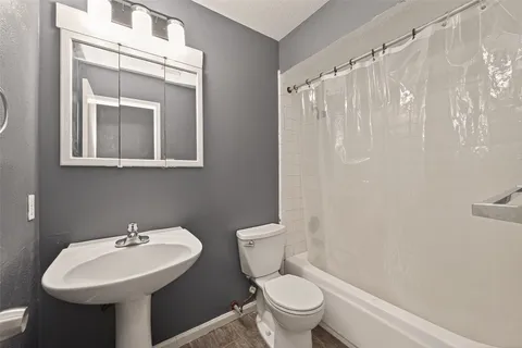 a bathroom with a sink a toilet and a mirror