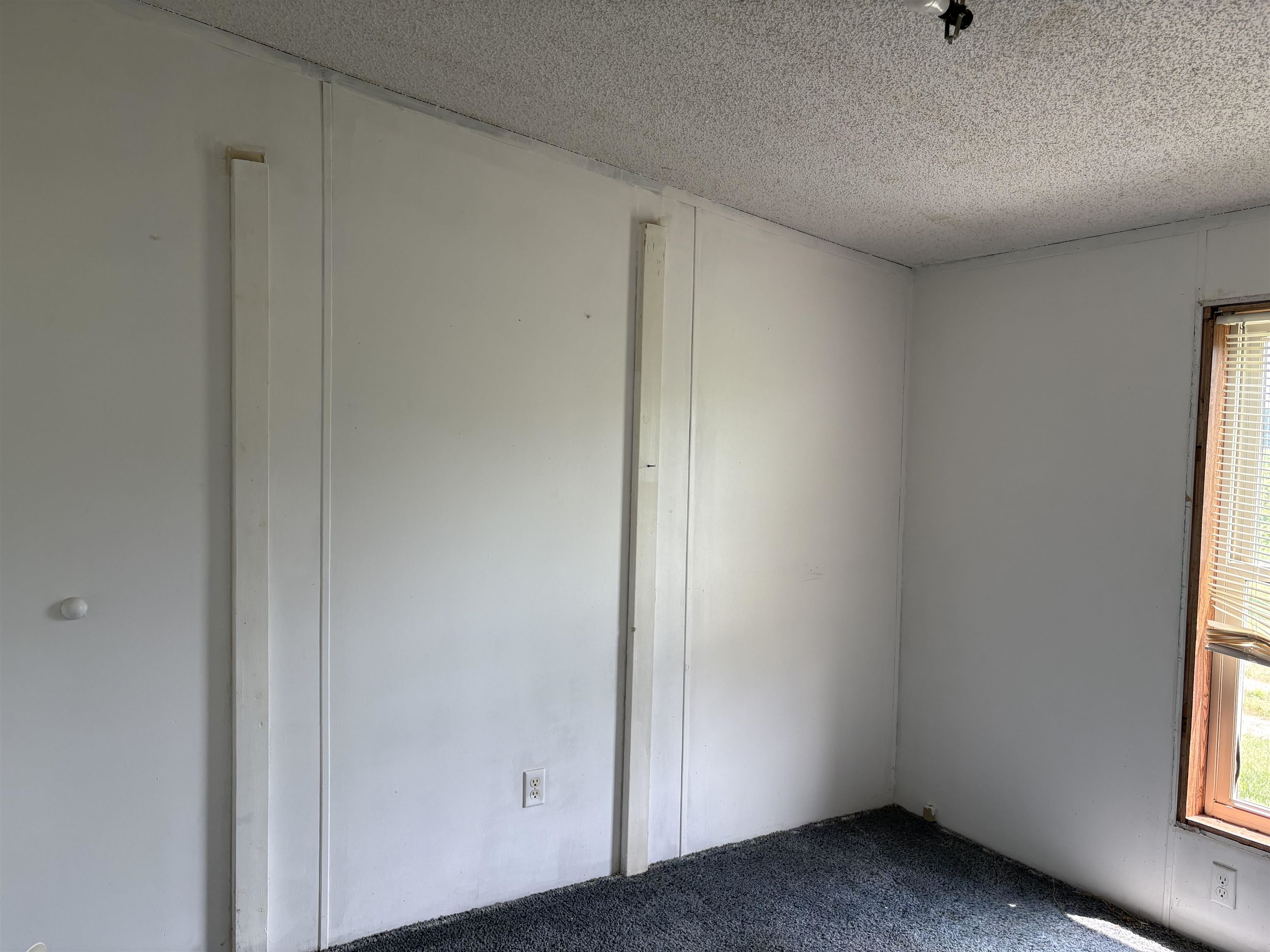 10505 South Hemlock Road Brant, MI 48614 - Photo 15 of 21 50183243-1f9adcc8-35cc-41cf-ba60-554eb7fa94a7.JPG