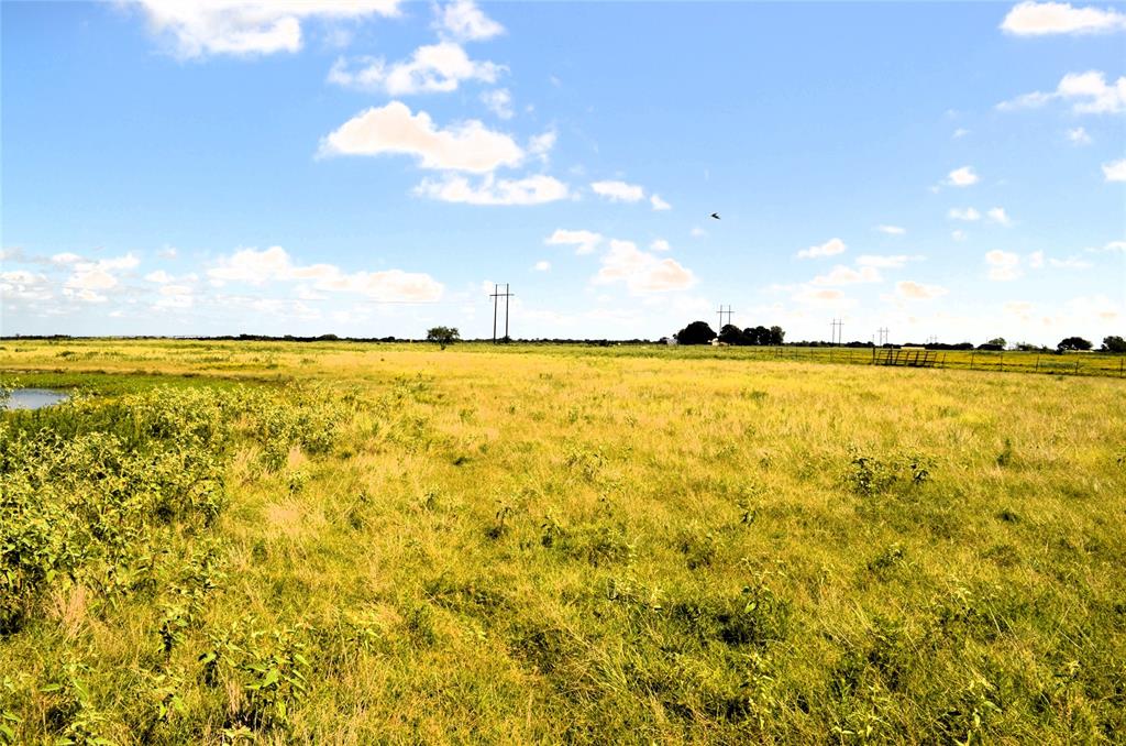 0 Tarlton Road Mabank, TX 75147 - Photo 11 of 13