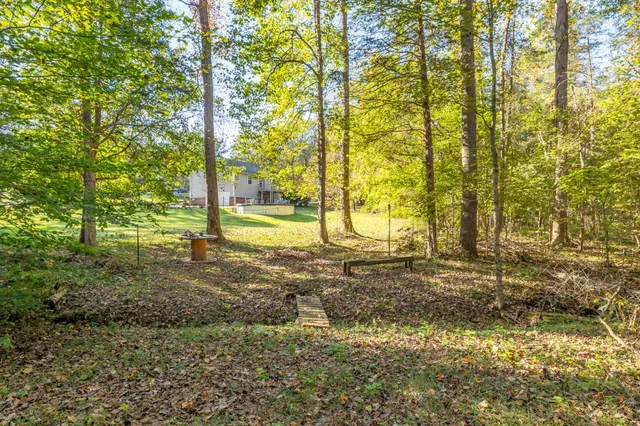 a view of a yard with trees