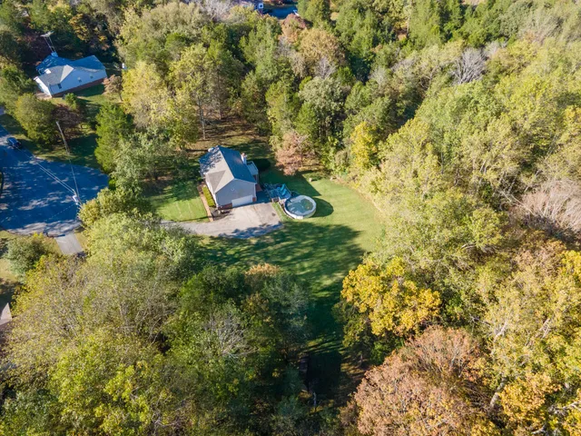 a view of a garden with plants and large trees