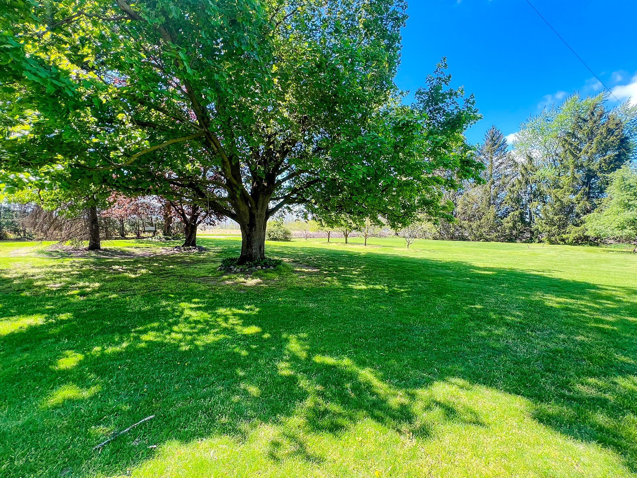 1166 Trayer Road Bronson, MI 49028 - Photo 22 of 28 fruit trees