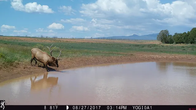 $2,500,000 | 0 Akati Gulch Road, Hesperus, CO 81326