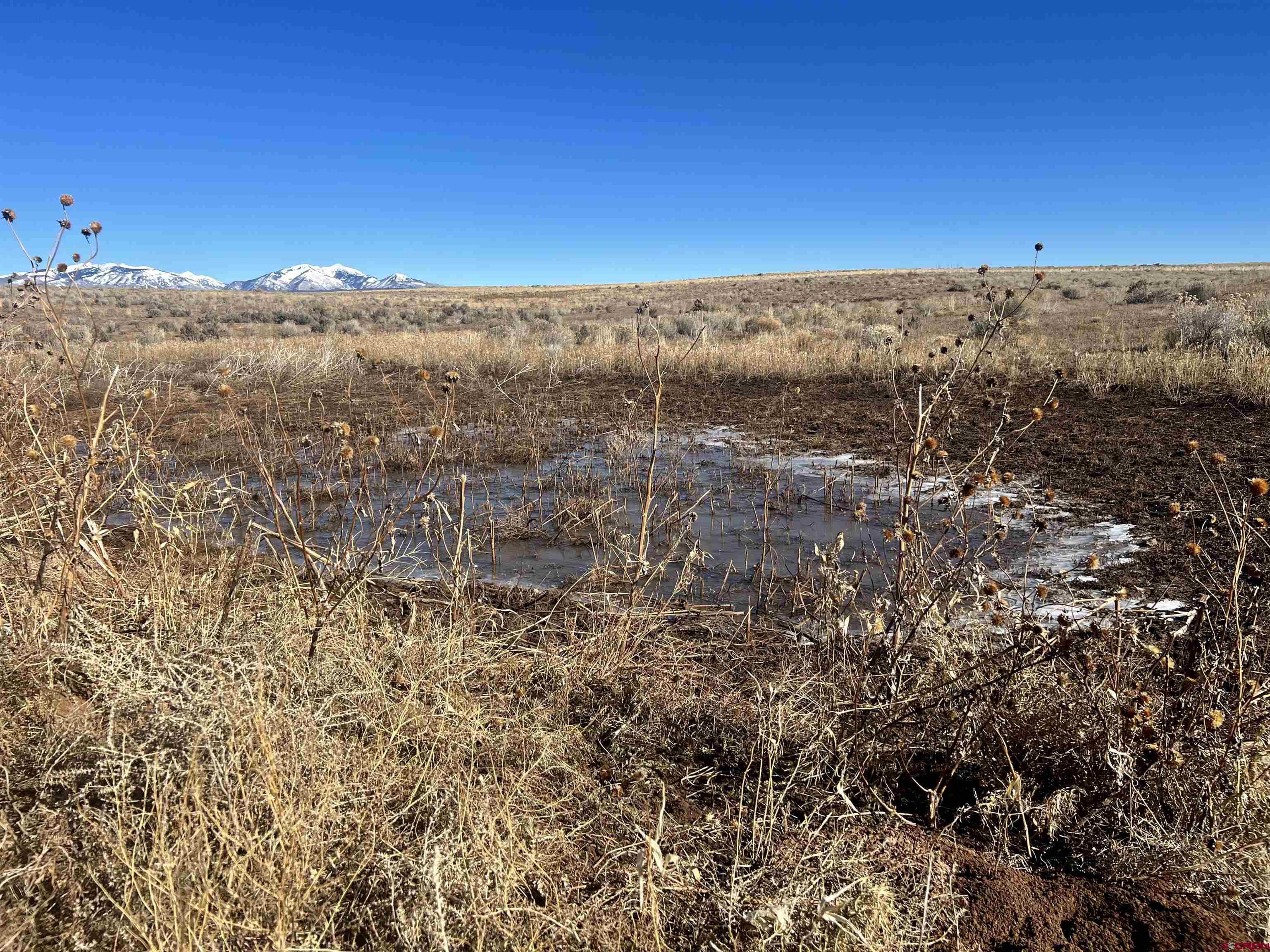 0 Akati Gulch Road Hesperus, CO 81326 - Photo 12 of 30