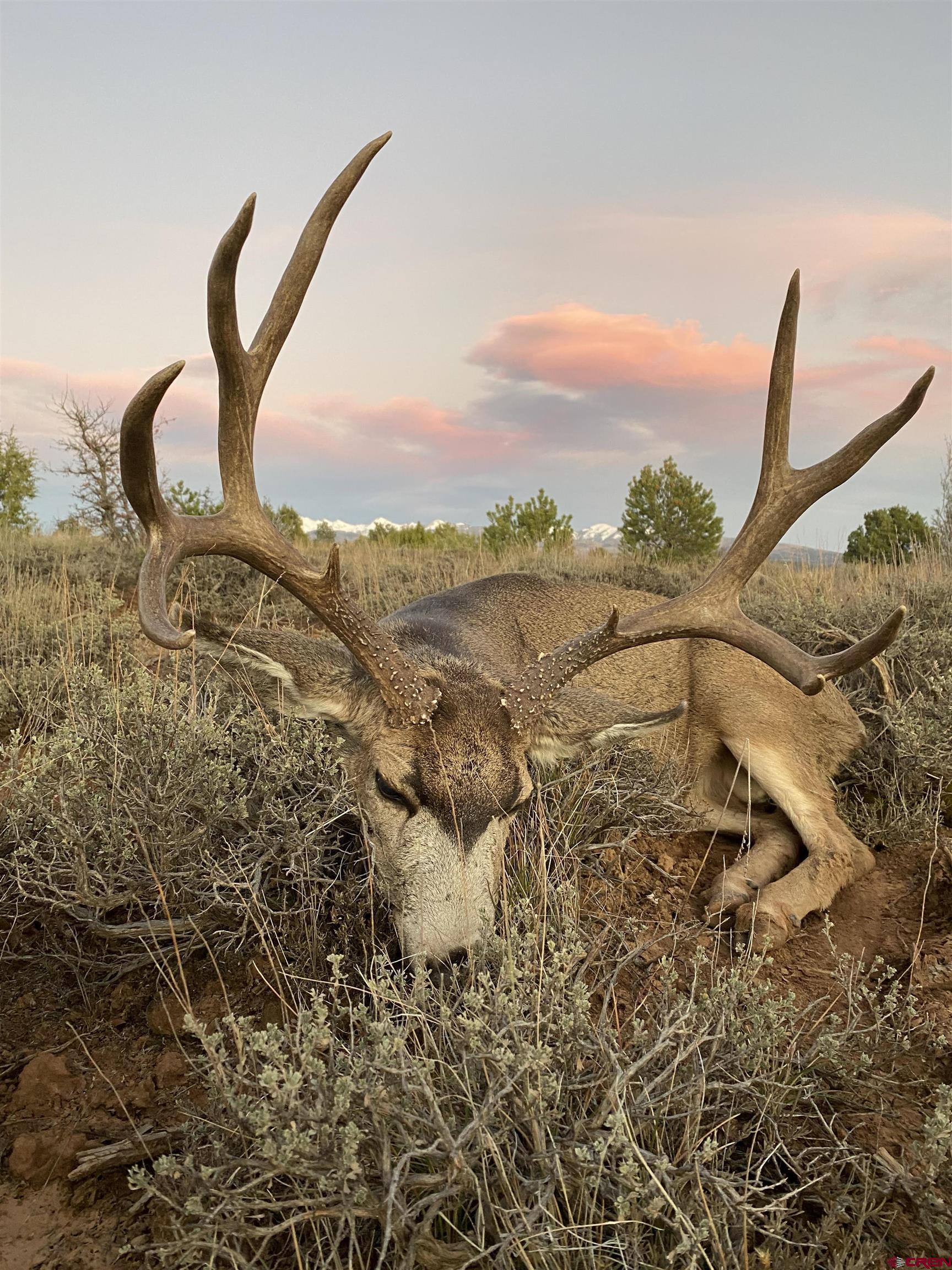 0 Akati Gulch Road Hesperus, CO 81326 - Photo 13 of 30