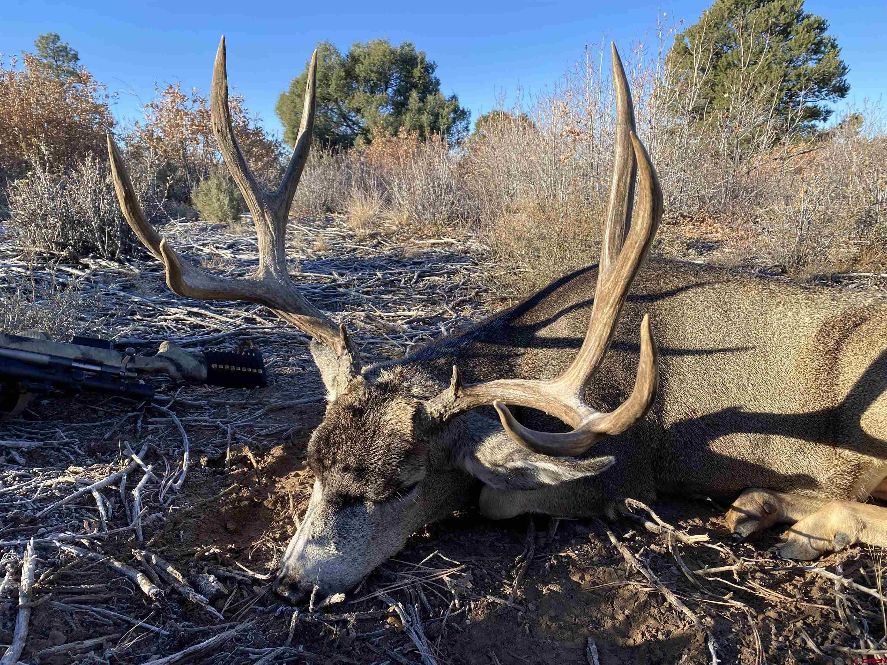 0 Akati Gulch Road Hesperus, CO 81326 - Photo 17 of 30