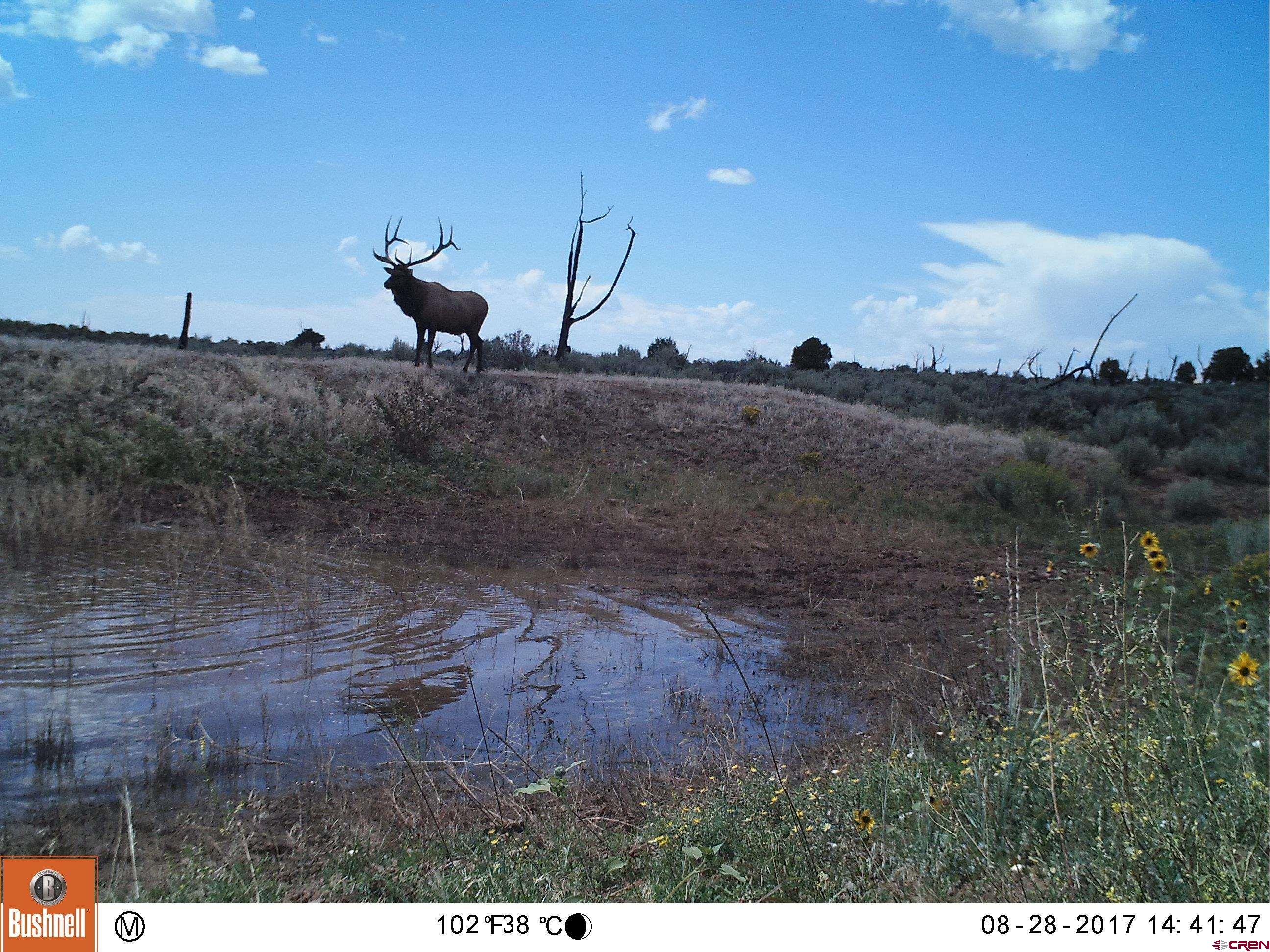 0 Akati Gulch Road Hesperus, CO 81326 - Photo 2 of 30
