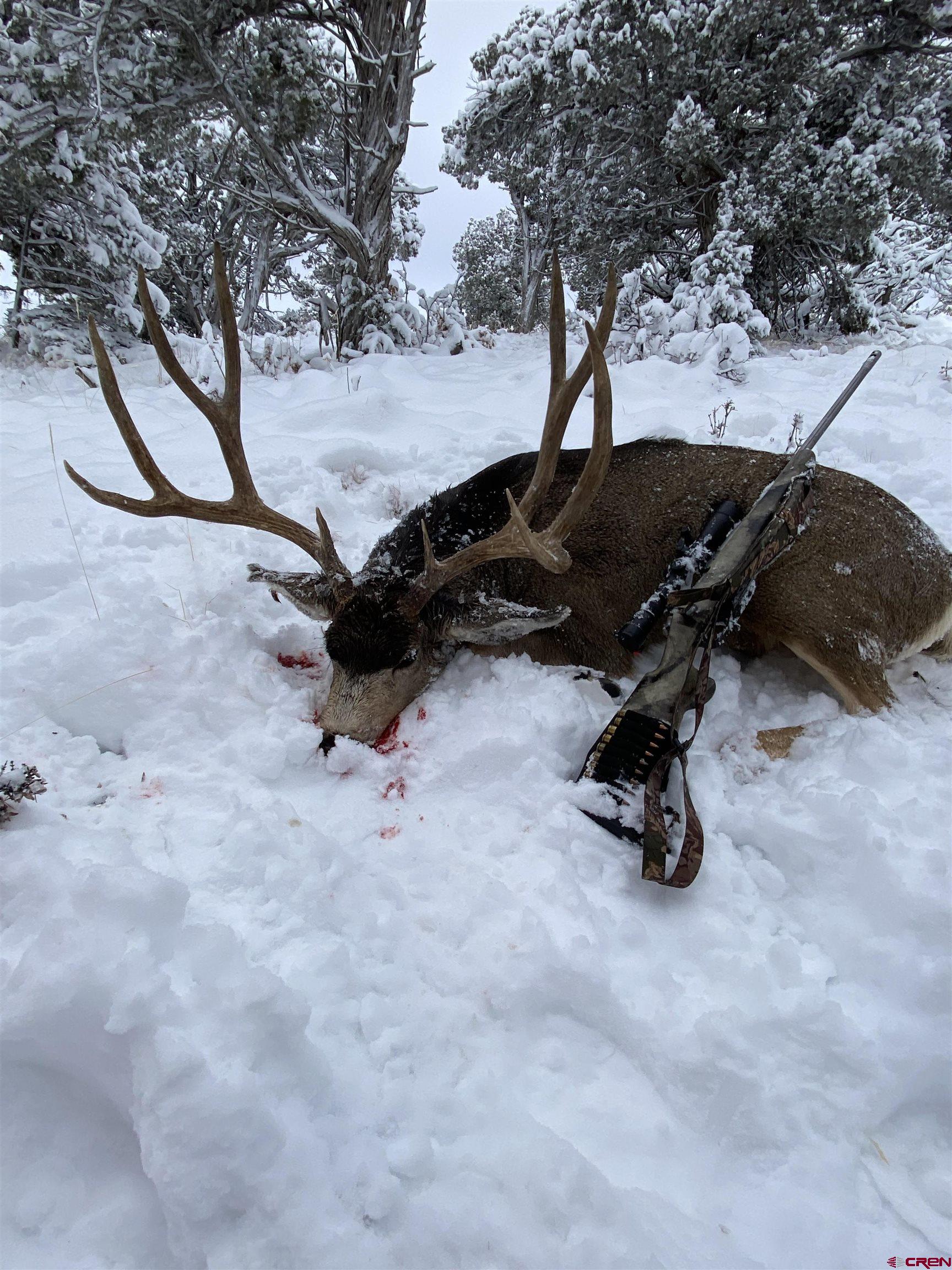 0 Akati Gulch Road Hesperus, CO 81326 - Photo 21 of 30