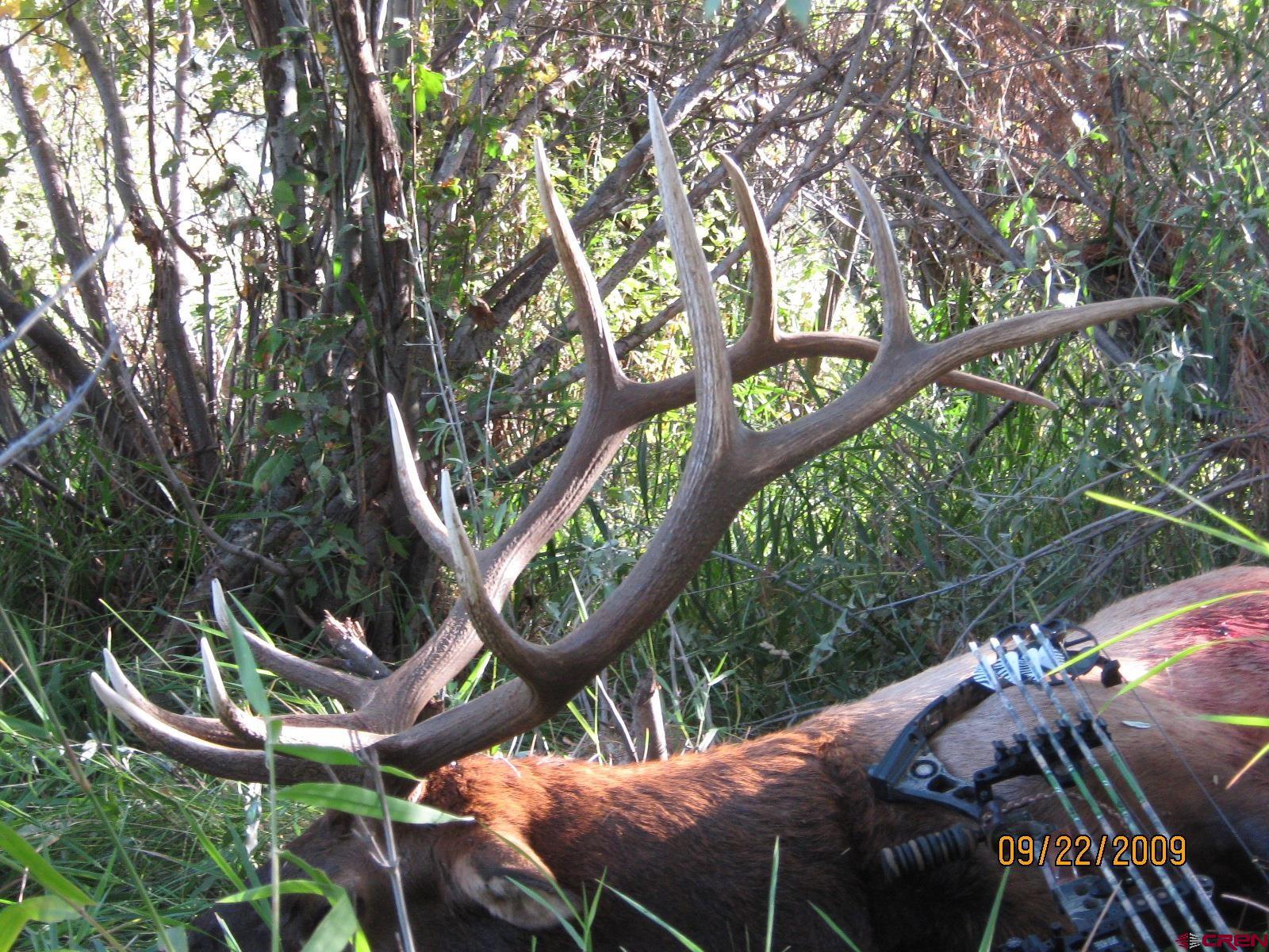 0 Akati Gulch Road Hesperus, CO 81326 - Photo 22 of 30