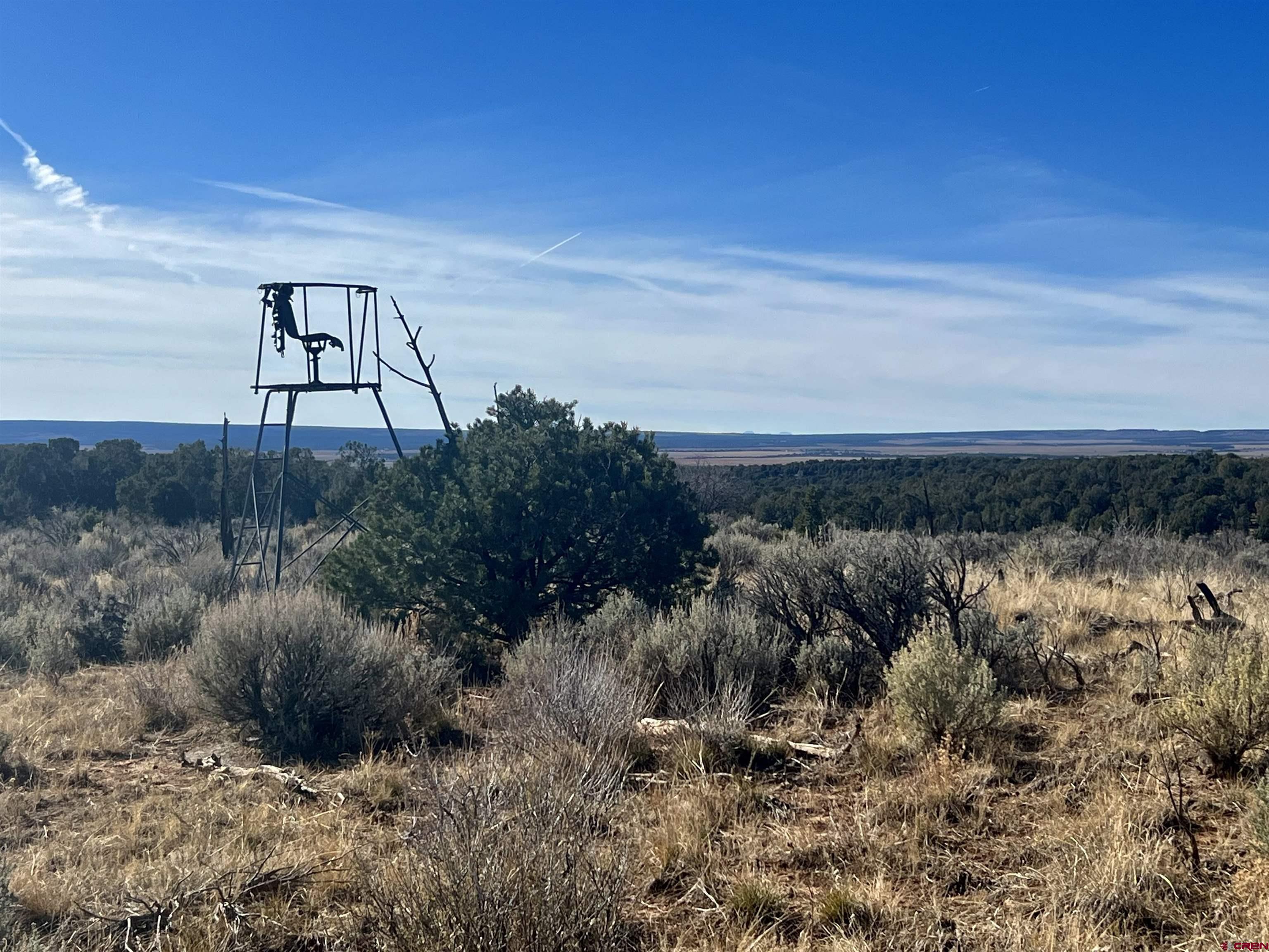 0 Akati Gulch Road Hesperus, CO 81326 - Photo 24 of 30