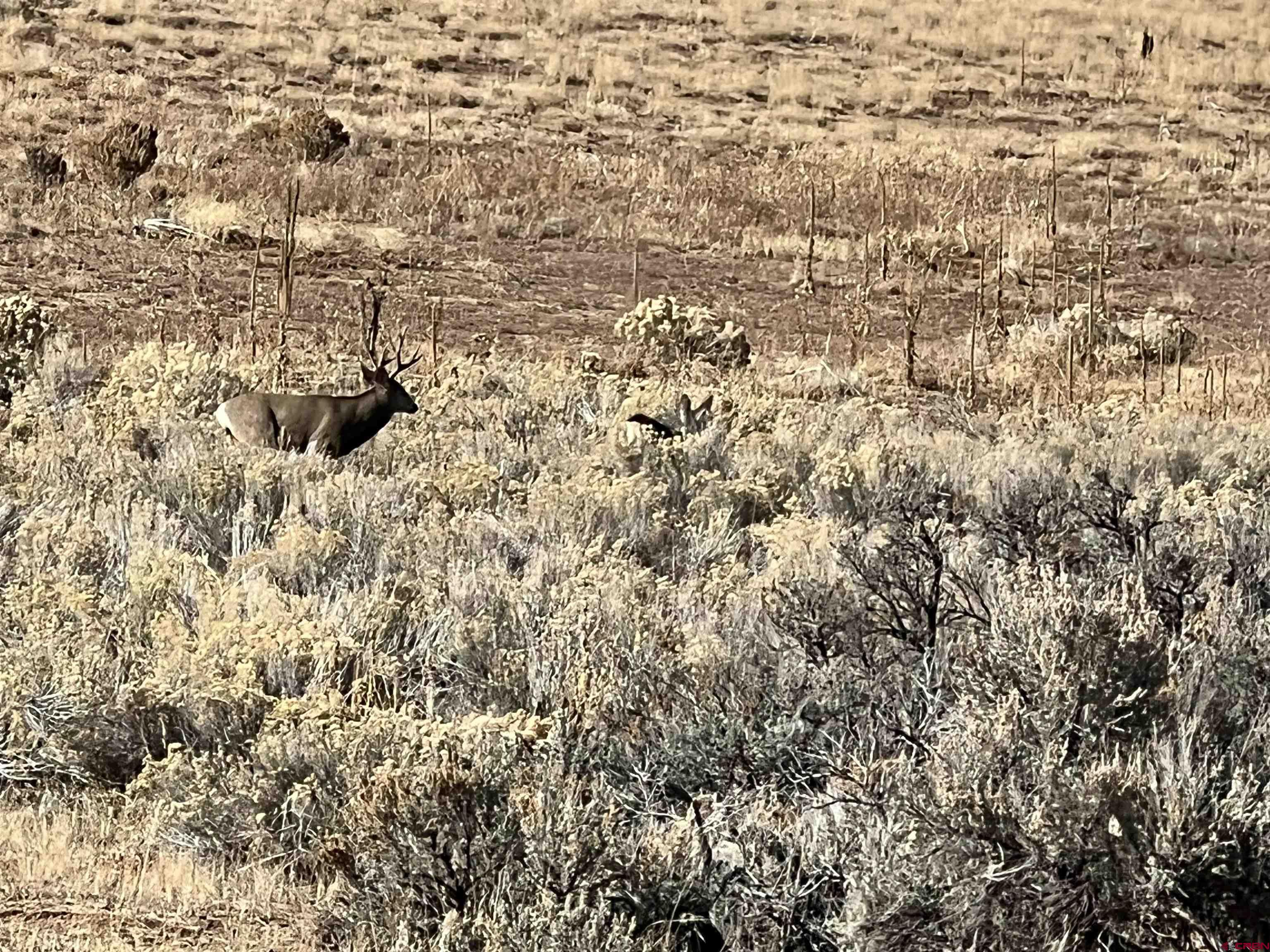 0 Akati Gulch Road Hesperus, CO 81326 - Photo 28 of 30