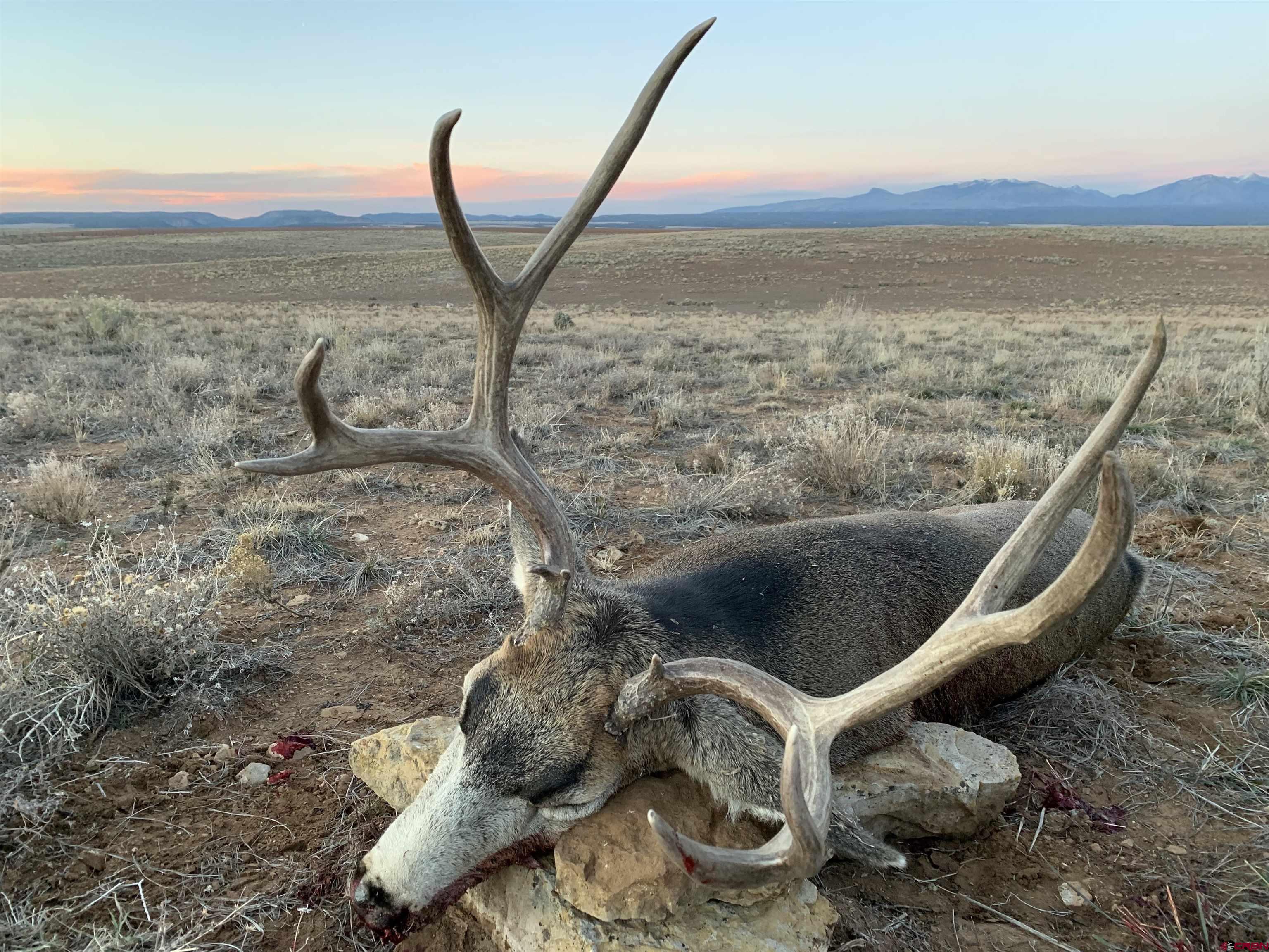 0 Akati Gulch Road Hesperus, CO 81326 - Photo 6 of 30