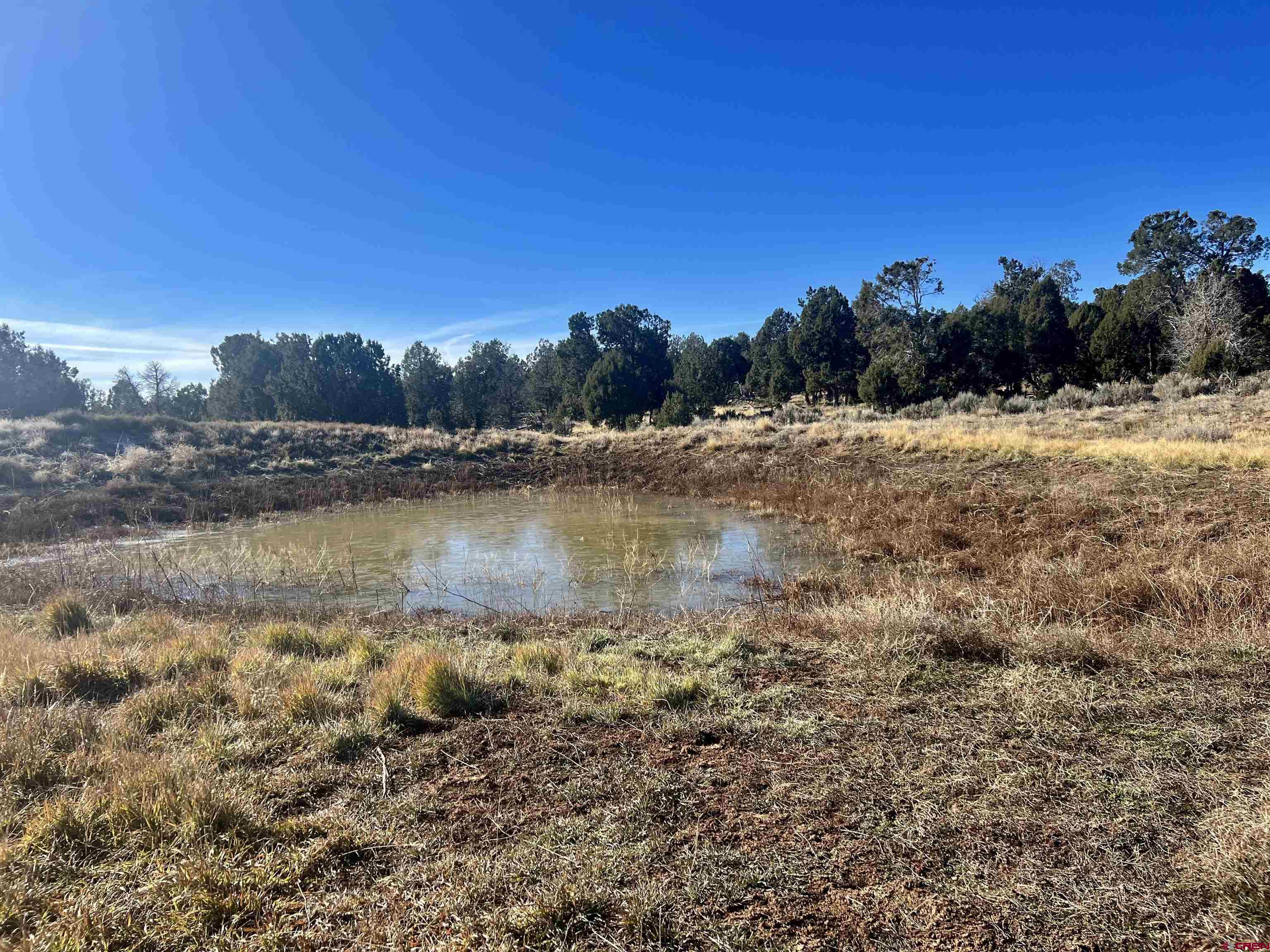 0 Akati Gulch Road Hesperus, CO 81326 - Photo 8 of 30