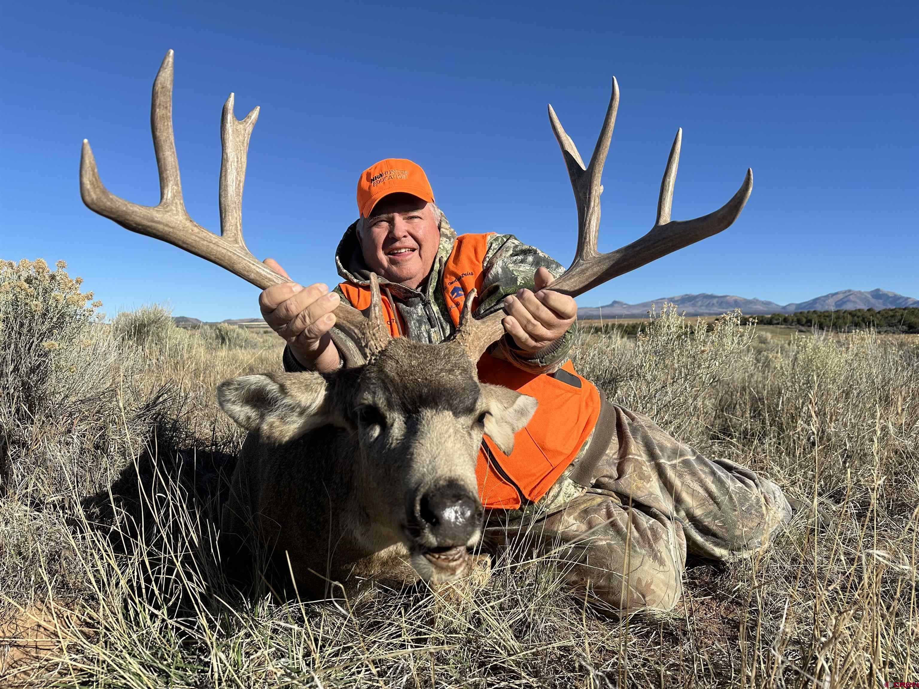0 Akati Gulch Road Hesperus, CO 81326 - Photo 9 of 30