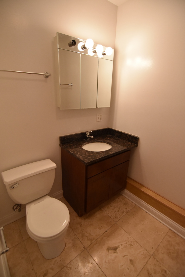 953 West Fletcher Street, Unit 1 Chicago, IL 60657 - Photo 19 of 23 a bathroom with a sink and a toilet