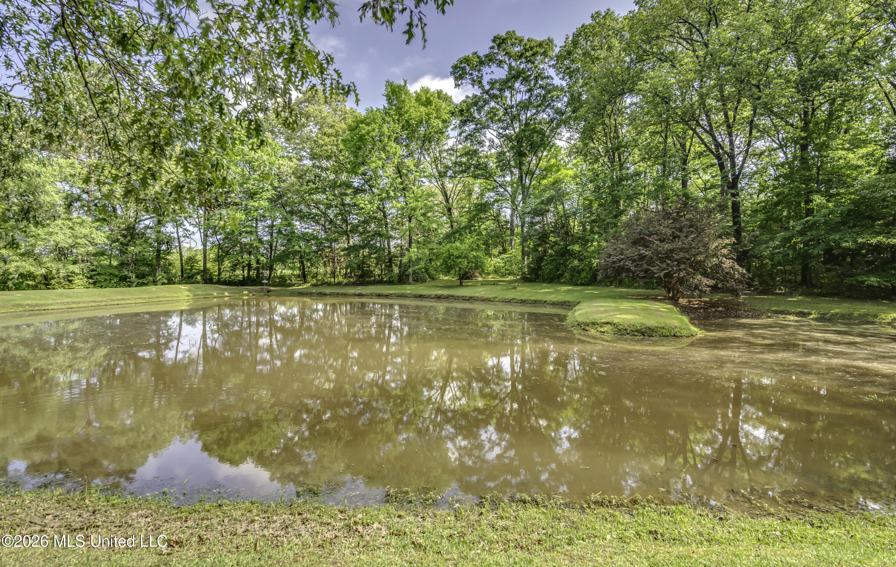 1380 Kimbell Road Terry, MS 39170 - Photo 80 of 81 1380 Kimbell Rd--20