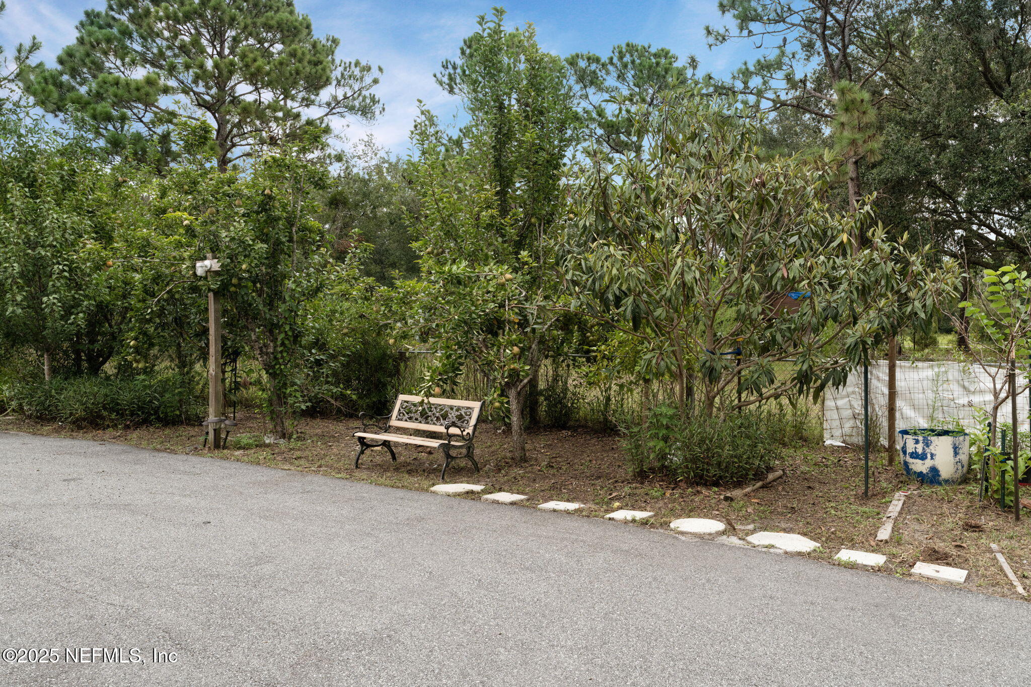 13342 Grover Road Jacksonville, FL 32226 - Photo 18 of 34 Pear Trees