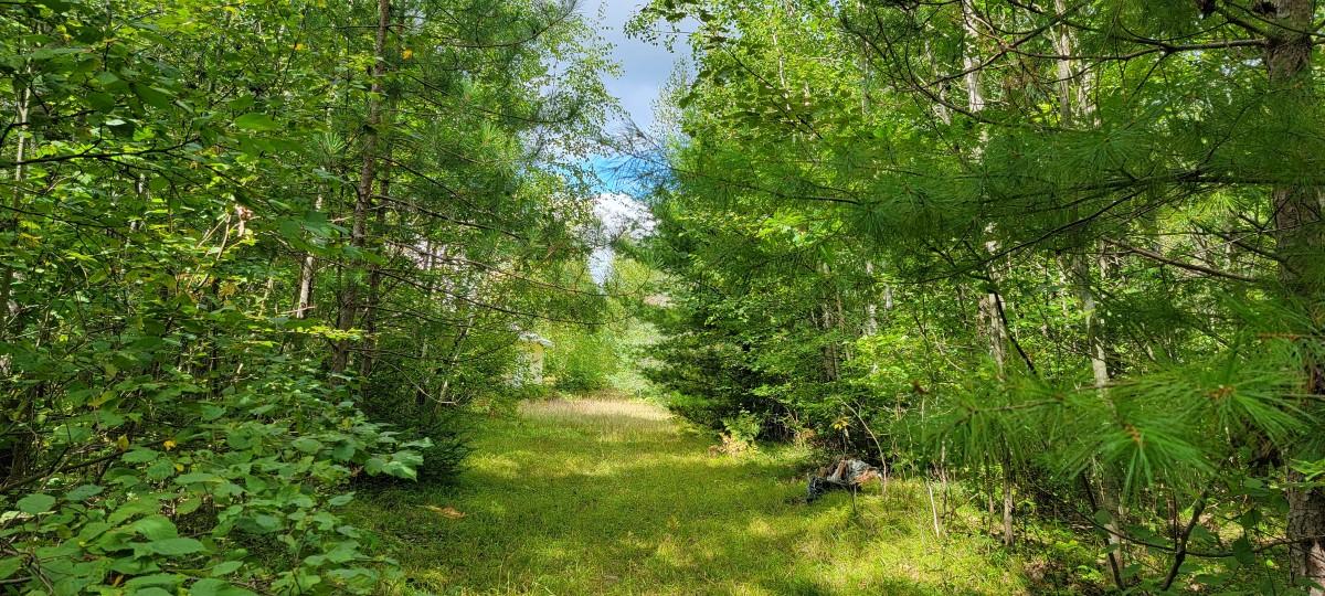 On Jenny Lake Road Tomahawk, WI 54487 - Photo 1 of 8 Gallery Image 1
