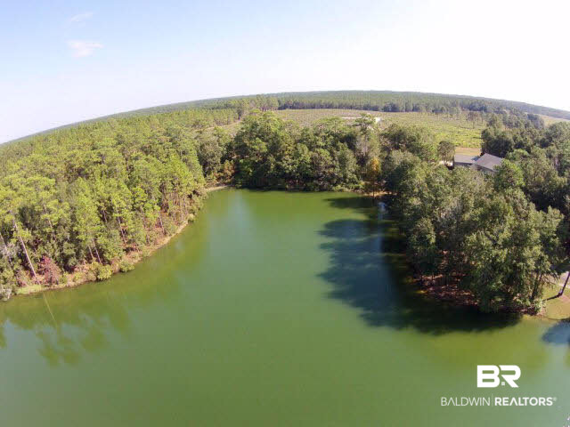 43 Shady Lane Clayton, AL 36016 - Photo 9 of 12