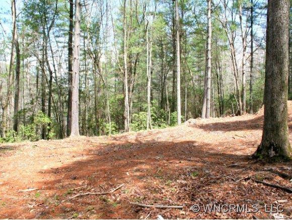 10 Sandy Spring Road Arden, NC 28704 - Photo 1 of 7 Gallery Image 1