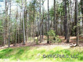 10 Sandy Spring Road Arden, NC 28704 - Photo 3 of 7 Gallery Image 3