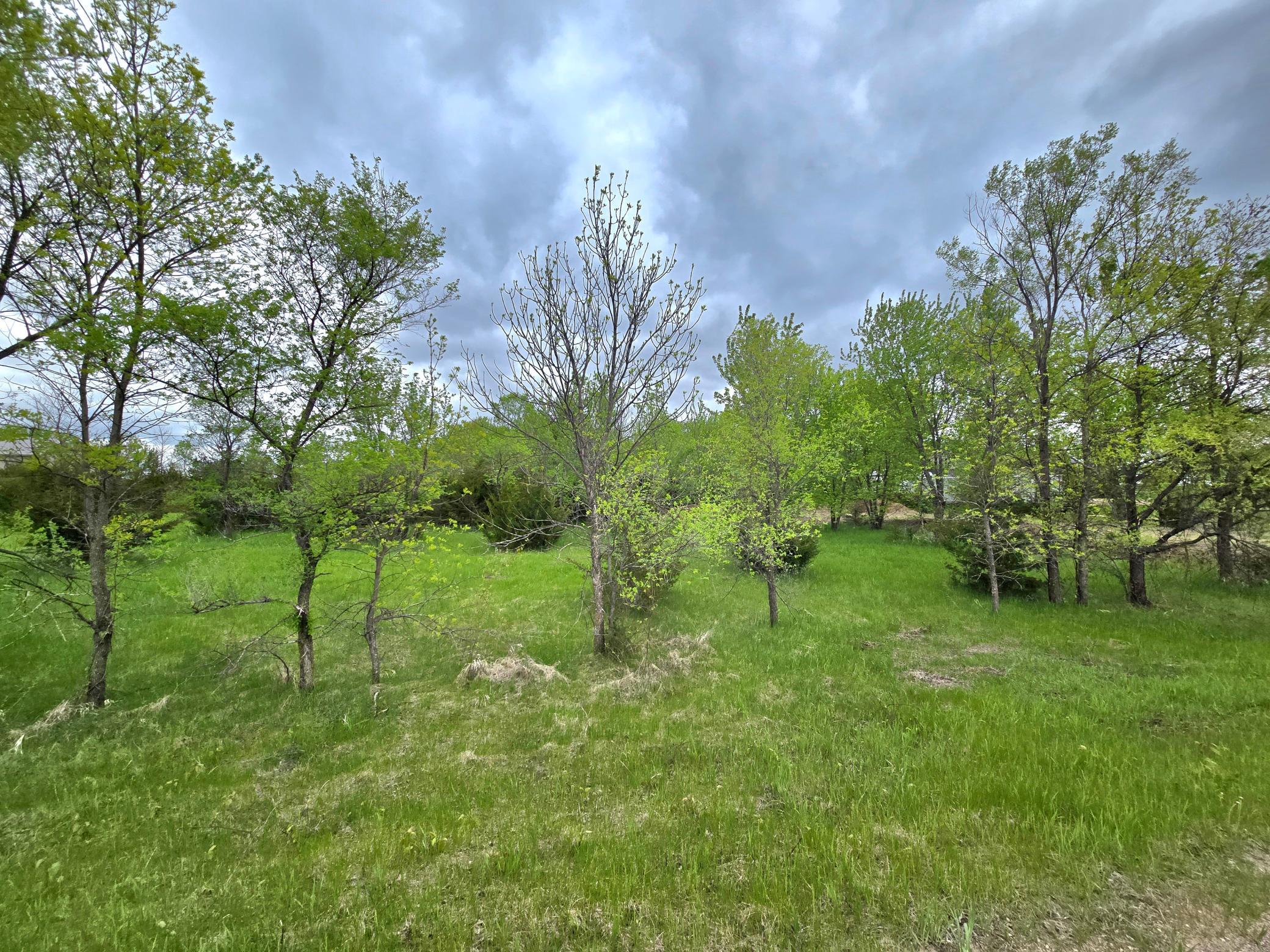 316 Woods Edge Road Clearwater, MN 55320 - Photo 1 of 9
